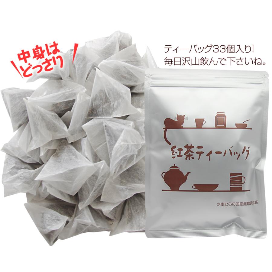 オーガニック 紅茶ティーバッグ 3g×33包 ランキング上位 無農薬 オーガニック 紅茶ティーバッグ 3g×33包 ランキング上位 無農薬