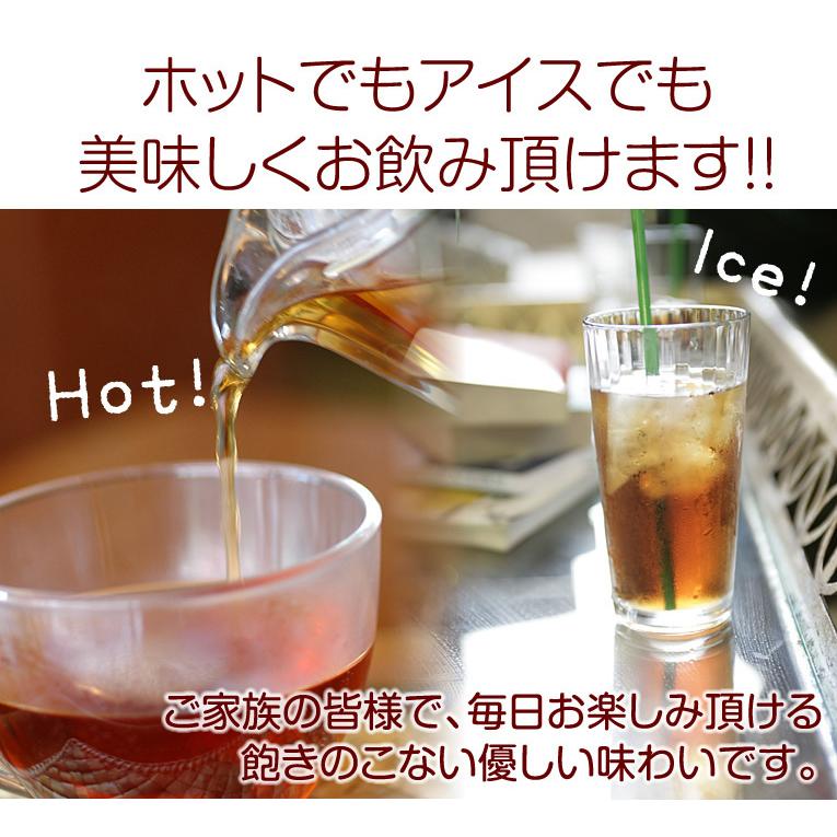 オーガニック 紅茶ティーバッグ 3g×33包 ランキング上位 無農薬栽培