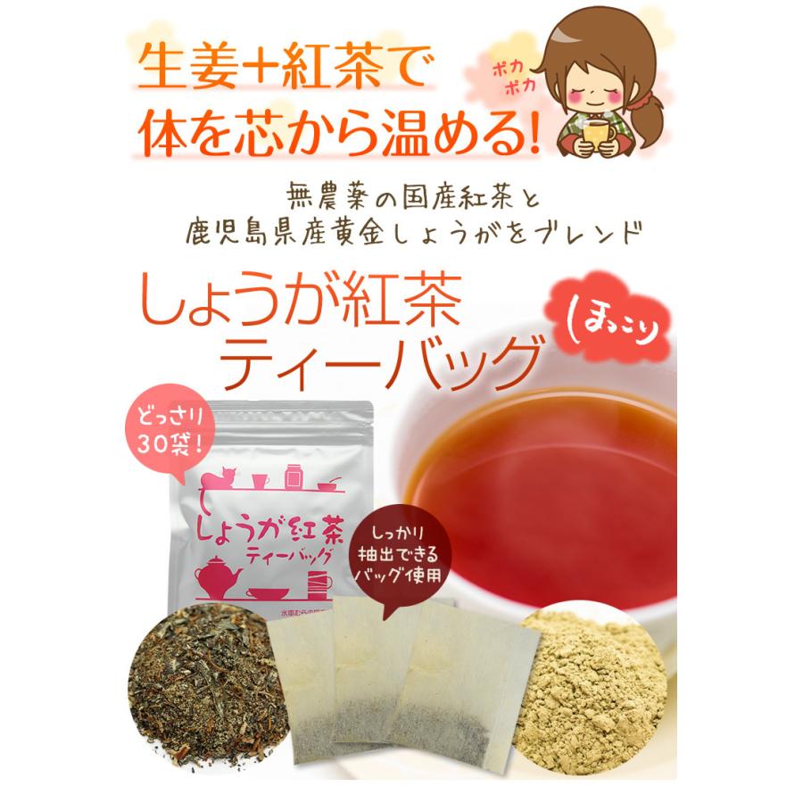 しょうが紅茶ティーバッグ　3g×30包　無農薬栽培国産紅茶と鹿児島県産黄金しょうが使用　無添加｜suisyamura｜02