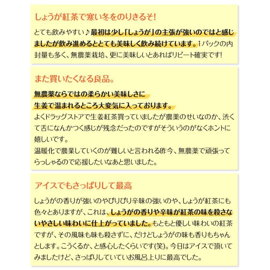 しょうが紅茶ティーバッグ　3g×30包　無農薬栽培国産紅茶と鹿児島県産黄金しょうが使用　無添加｜suisyamura｜04