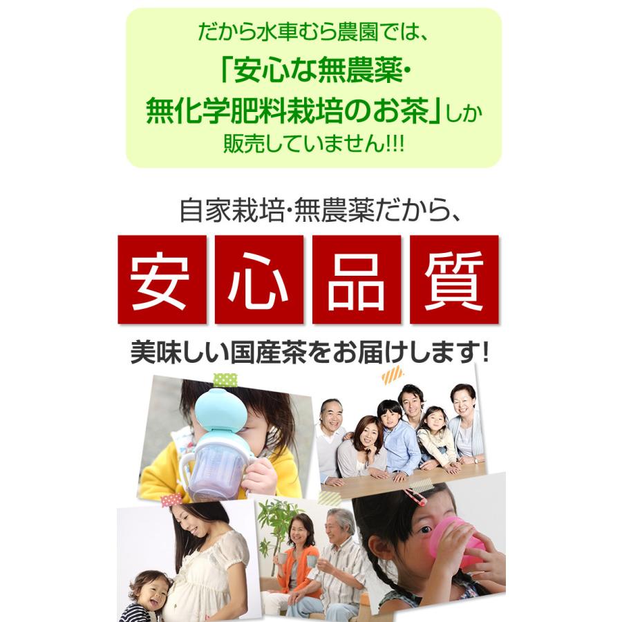 かりがねほうじ茶100g 国産無農薬　 １番茶の茎のみを使用した贅沢な棒ほうじ茶 無添加｜suisyamura｜10