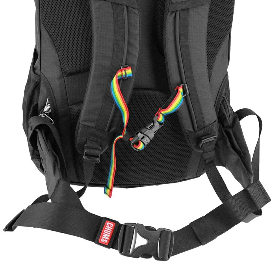 最大P+16% チャムス バッグ リュック バックパック ザックパック 登山 CHUMS スプリングデール30 30L B4 A4 CH60-3998 CH60-4097 メンズ レディースの画像