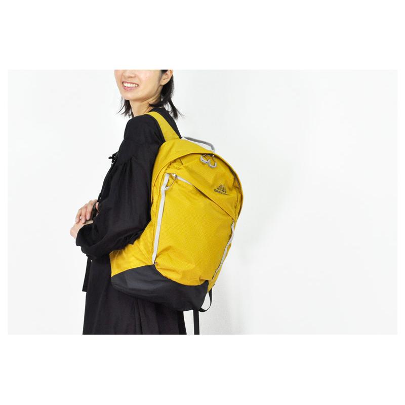 最大P+16% グレゴリー GREGORY リュックサック デイパック バックパック FALCON18 AL ファルコン18 AL エアロライト AEROLITE 2201cop | GREGORY | 18