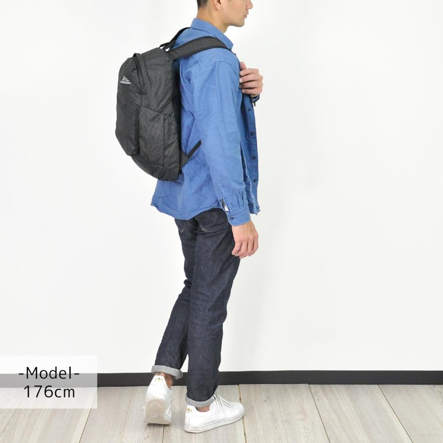 最大P+16% グレゴリー GREGORY リュックサック デイパック バックパック FALCON18 AL ファルコン18 AL エアロライト AEROLITE 2201cop | GREGORY | 04