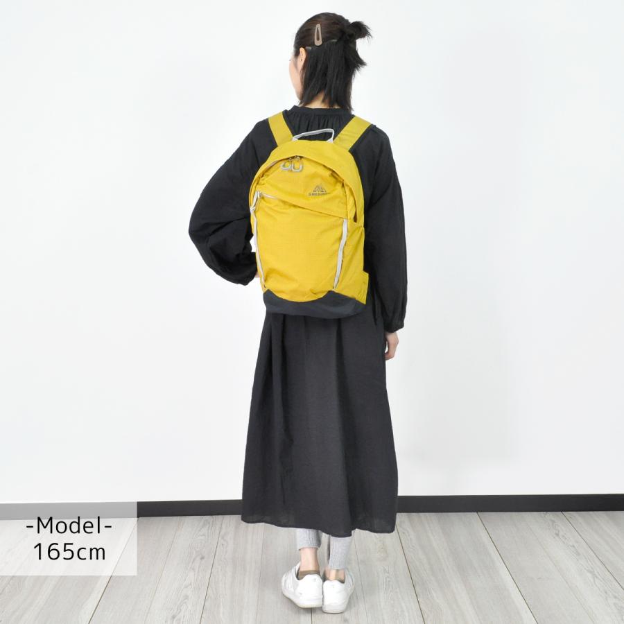 最大P+16% グレゴリー GREGORY リュックサック デイパック バックパック FALCON18 AL ファルコン18 AL エアロライト AEROLITE 2201cop | GREGORY | 05