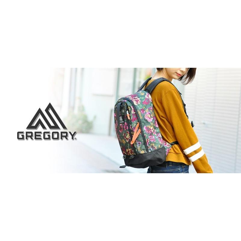 GREGORY（グレゴリー） リュックサック デイパック バックパック 