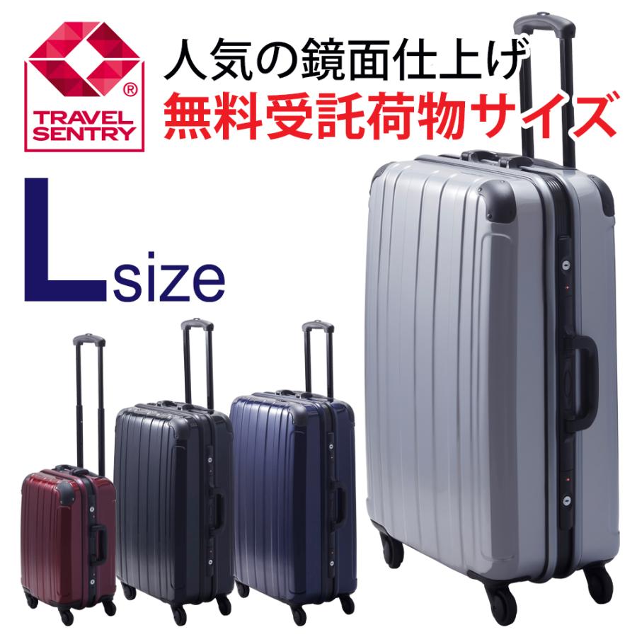 プロテクトPG2ハードキャリーケース Lサイズ 大型 大容量 ハードケース 送料無料