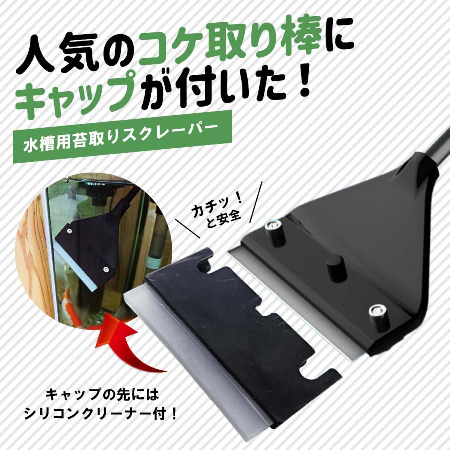 安全キャップ付 コケ取り スクレーパー アクアリウム 水草 苔 水槽 