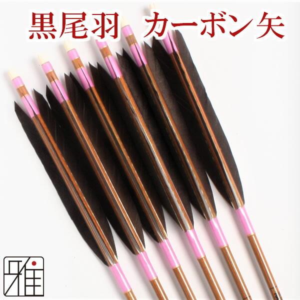 激安の 弓道 矢 カーボン矢 6本組 黒羽根 尾羽 イーストン 76シャフト 翠山弓具店 Suizan Ya241 上質で快適 Www Aqtsolutions Com
