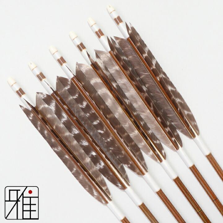 弓道 イーストン カーボン矢 ターキートラ斑 7620|6本組|矧糸:白系|翠