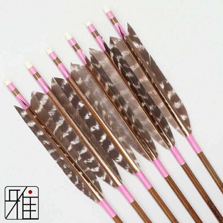 弓道 イーストン カーボン矢 ターキートラ斑 7620|6本組|矧糸:桃系|翠