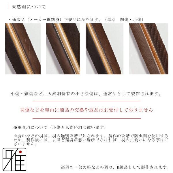 弓道 ミズノ カーボン矢 ターキー白羽 WENEW 7518|6本組|矧糸:緑系|翠