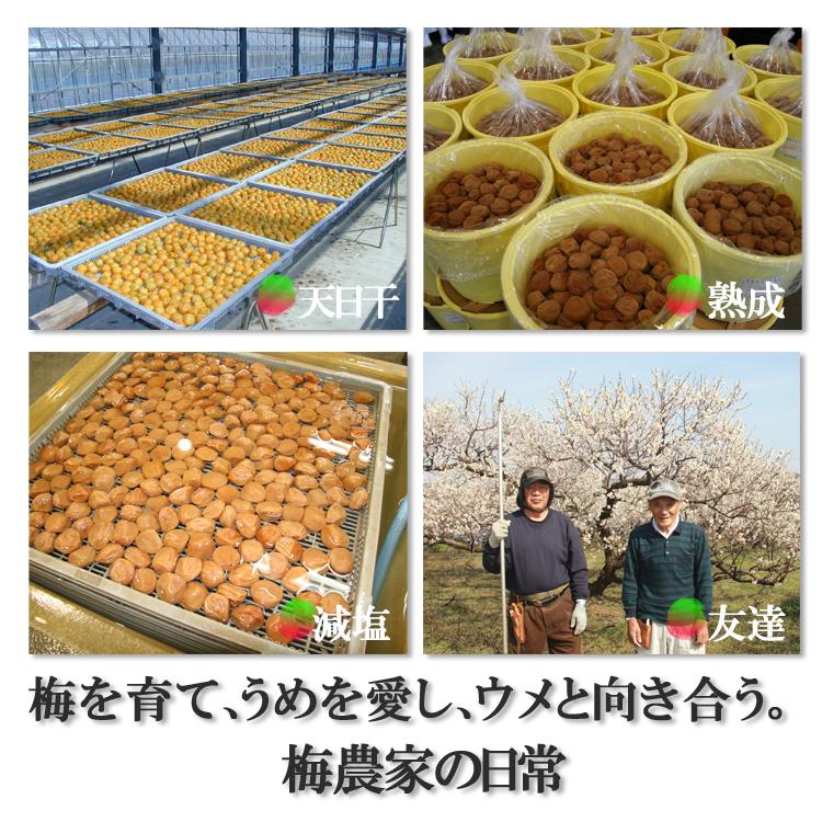 紀州梅干し 1.3kg 農家直売 南高梅 訳あり はちみつ・昆布だし入 紀州梅干し 1.3kg 農家直売 南高梅 訳あり はちみつ・昆布だし入