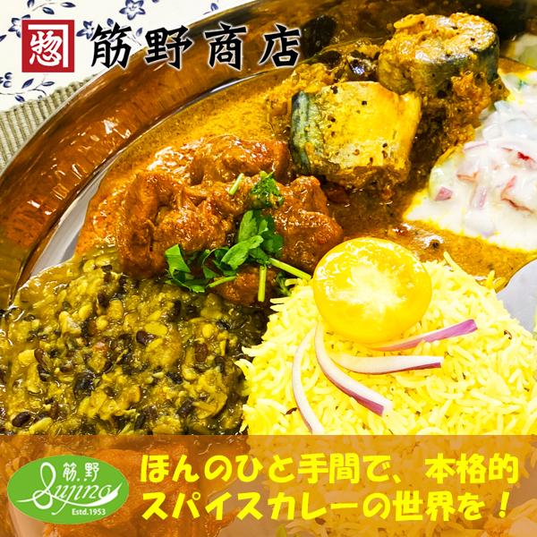 エレキソルト スプーンとバターチキンカレーセット キリン エレキ