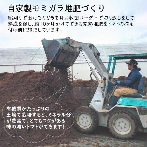 親バカトマト 約4kg 小さめS・2Sサイズ 28〜32個入り いわき市産 ギフト 農園直送 助川農園 |  | 09