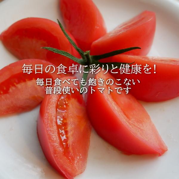 親バカトマト 約4kg 小さめS・2Sサイズ 28〜32個入り いわき市産 ギフト 農園直送 助川農園 |  | 06