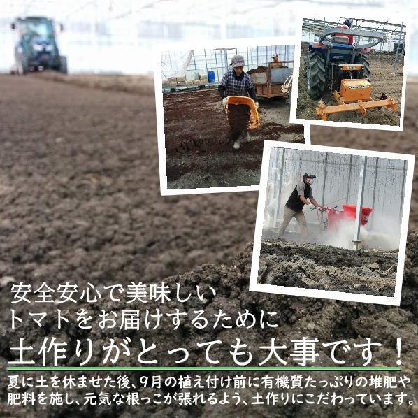 親バカトマトのミニトマト 約7種ミックス1.6kg  ギフト いわき市産 助川農園 農園直送｜suketoma｜13