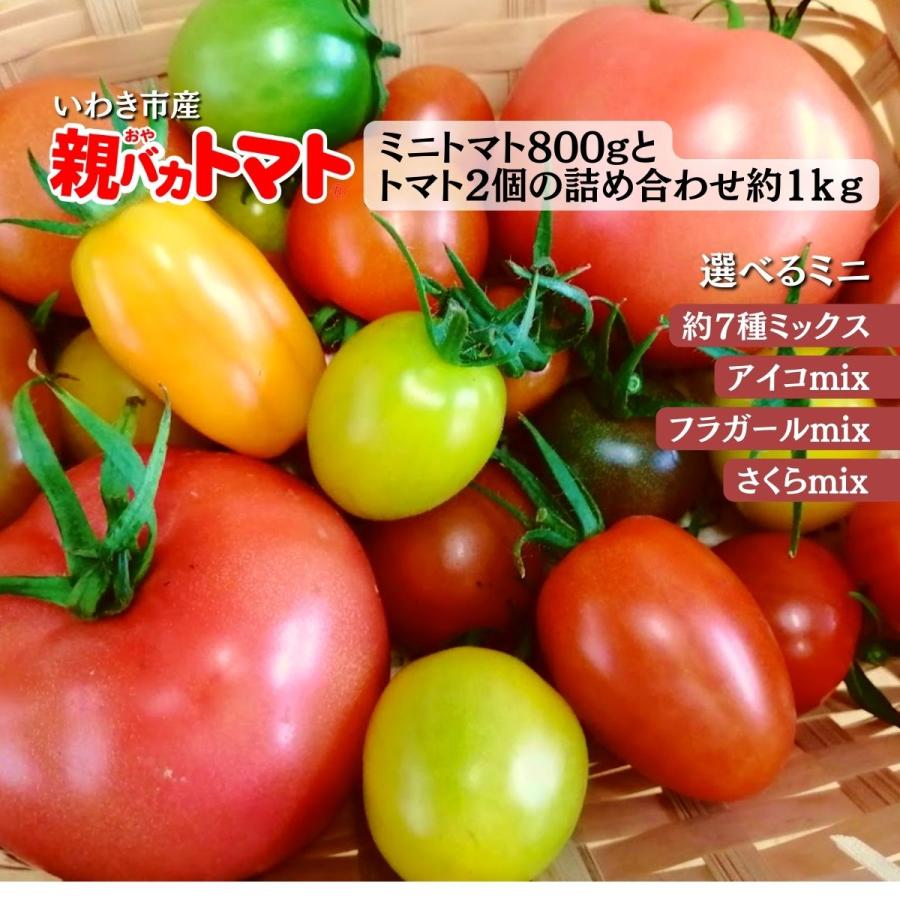 2020モデル 親バカトマトとミニトマトの詰め合わせ 約1kg いわき市産 選べるミニ 4年保証