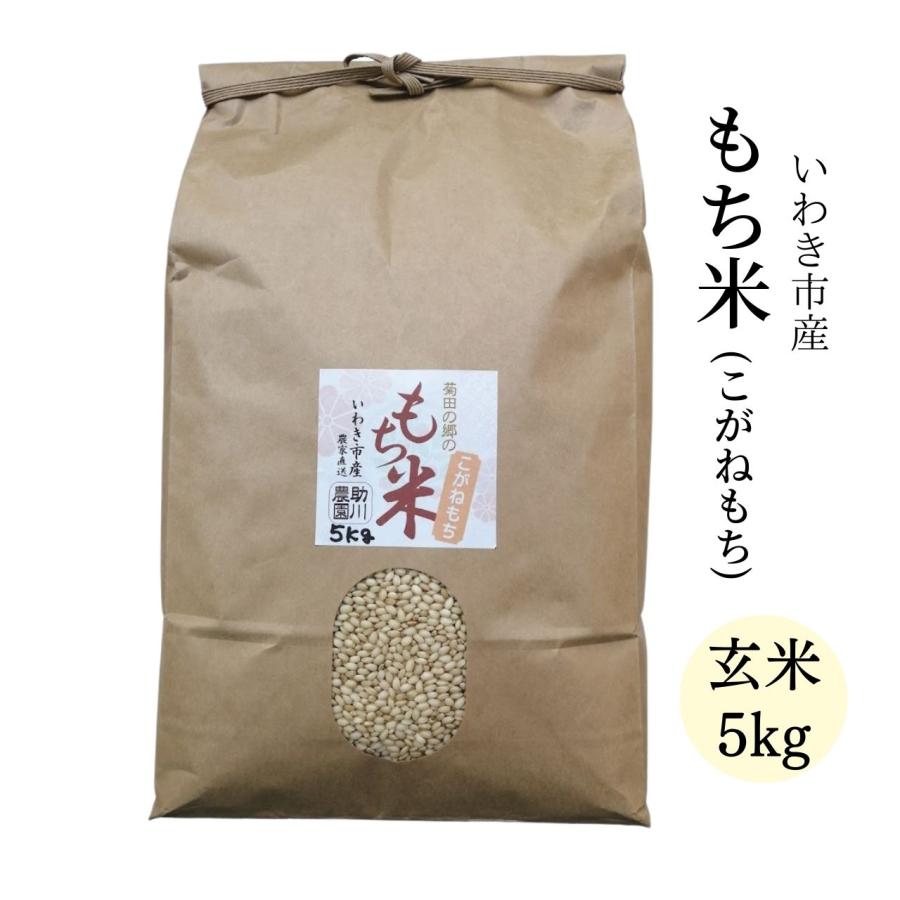 こがねもち 【新米】もち米 玄米5kg いわき市産 令和7年産 農家直送米