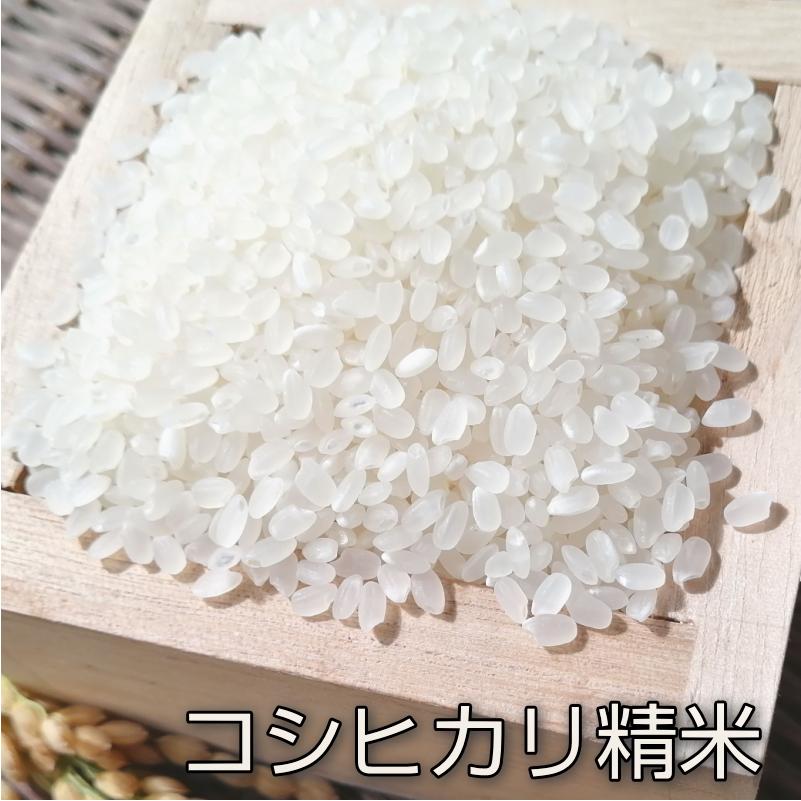 コシヒカリ 【新米】コシヒカリ 精米5kg いわき市産 令和7年産