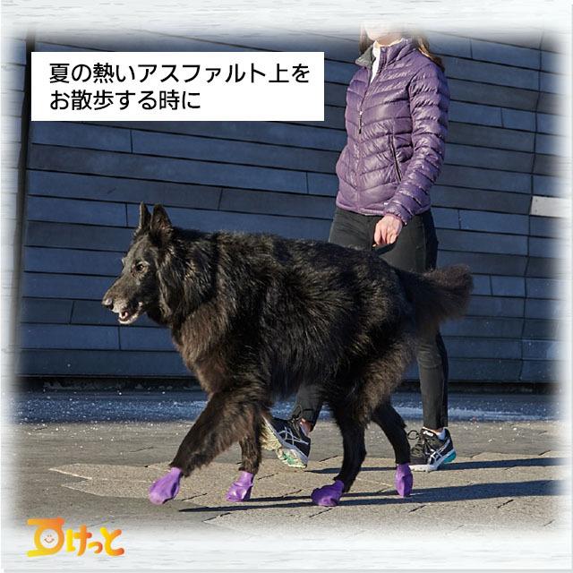 犬 靴 脱げない ラバーブーツ 雨 雪 滑り止め PAWZ PAWS ポウズ パウズ