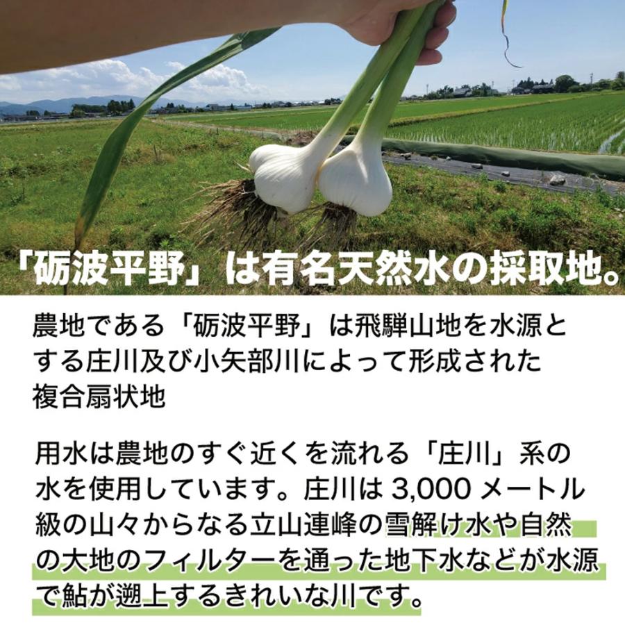 黒にんにくポン酢 |  | 08