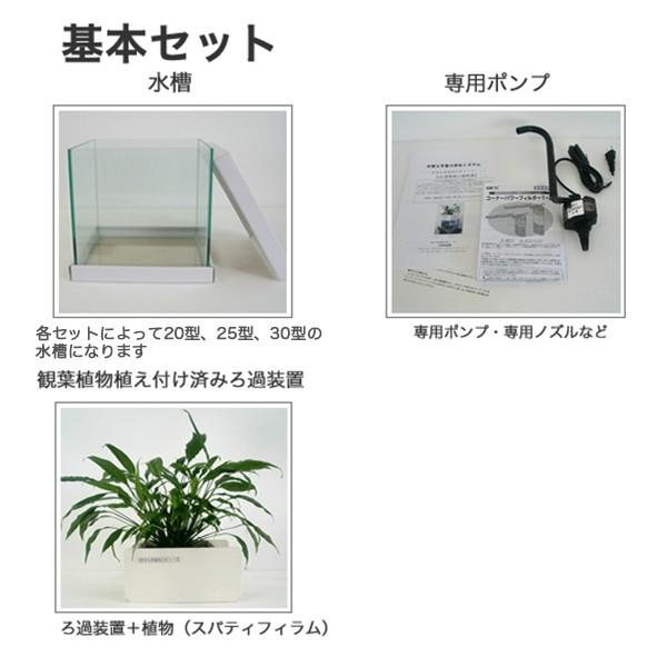 せせらぎ室内ビオトープ cm型水槽セット Ssb 001 好きなものだけを置いてみました 通販 Yahoo ショッピング