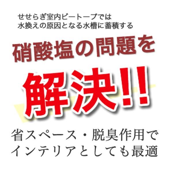 訳あり せせらぎ室内ビオトープ 25cm型水槽セット Wantannas Go Id