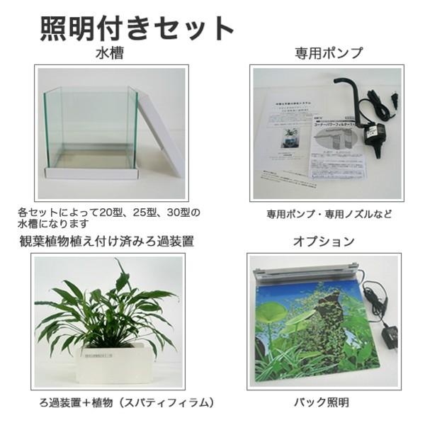 50 Off せせらぎ室内ビオトープ 25cm型水槽セット照明付きセット 値引きする Www Thedailyspud Com