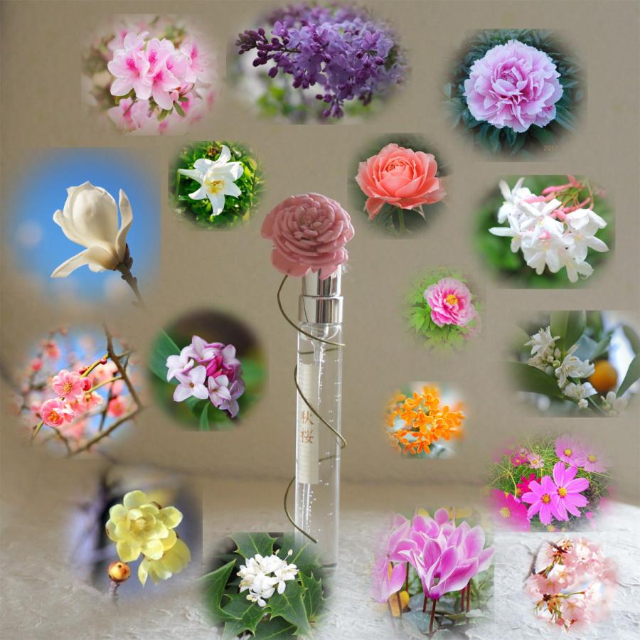 嗅ぐ楽しみ 柊 ヒイラギ フラワー付ボトル 花束風パッケージ お誕生日プレゼント 日本製香水 香水フレグランス 香水レディース Hiiragihanataba Sukinahi 通販 Yahoo ショッピング