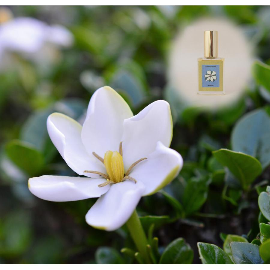 Nweボトル 梔子15ｍｌ リアル花ノ香 手作り和香水 衣類用 日本製香水 香水フレグランス 香水レディース Newkutinai15 Sukinahi 通販 Yahoo ショッピング