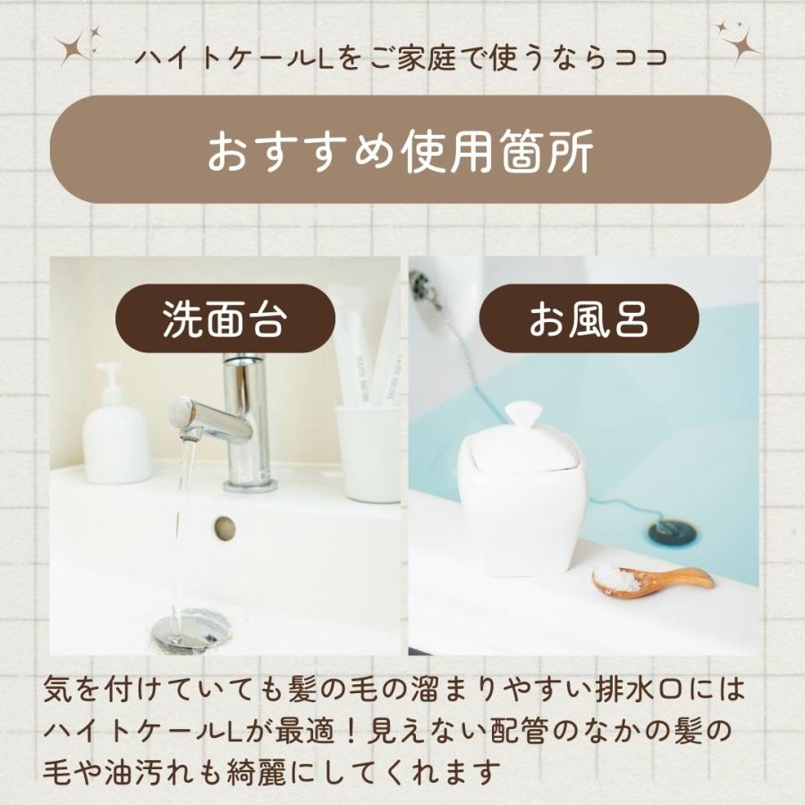 排水口 詰まり 悪臭 ハイトケールL 1kg パイプクリーナー 排水口 詰まり 悪臭 ハイトケールL 1kg パイプクリーナー