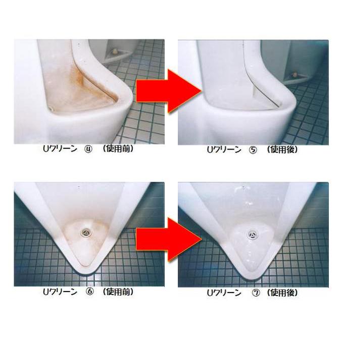 尿石除去剤 UF-100 1kg 15本 Uクリーン強力タイプ 黄ばみ 悪臭 ケミスター産業 劇物 書類事前郵送