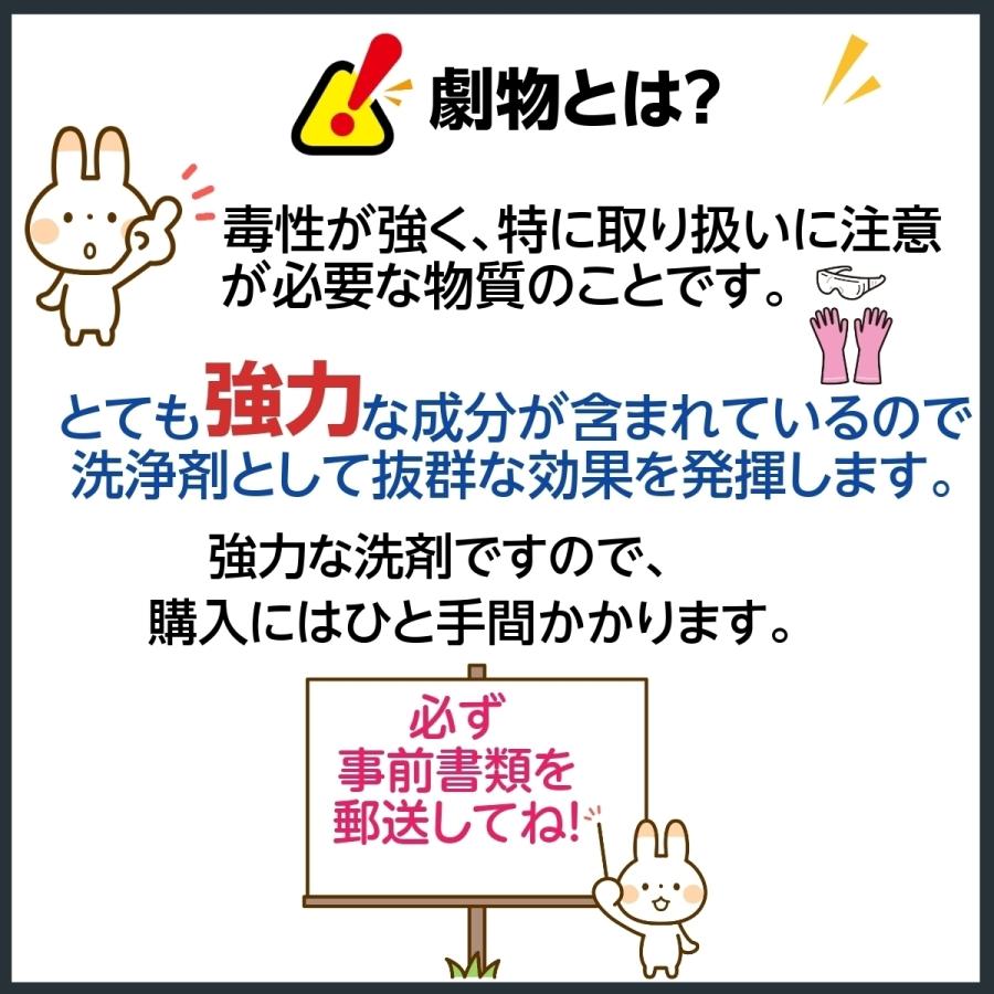 トイレ用品 尿石除去剤 黄ばみ除去 テイクワンL 10L 1缶 男子トイレ 小便器 強力 業務用 劇物 書類事前郵送