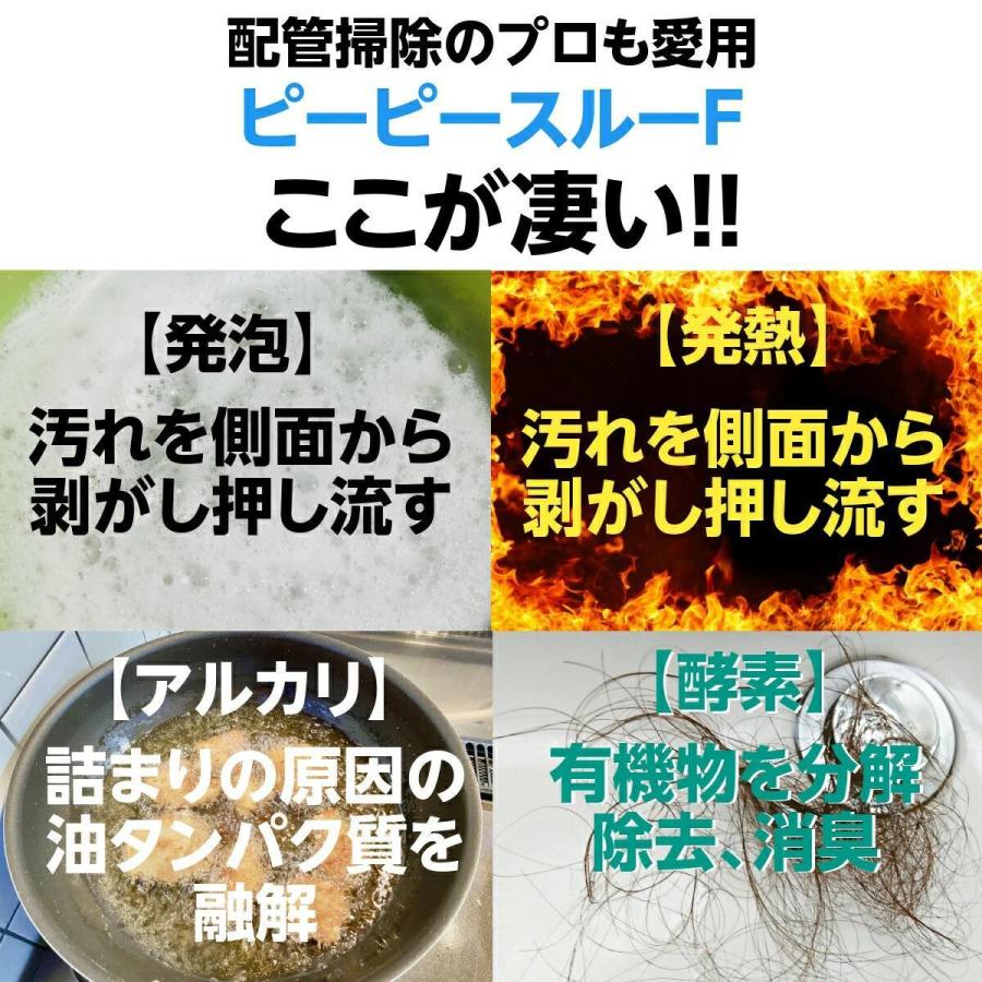 翌日発送可能】 ピーピースルーF 600g×2本入 業務用排水管洗浄剤 正規販売店 6038803 パイプ洗浄剤 ピーピースルーF 600g 業務用排水管洗浄剤