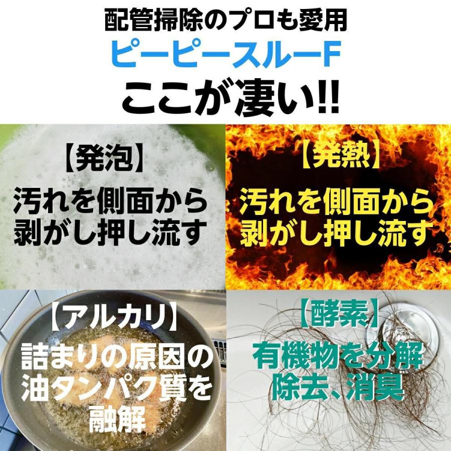 オファー ピーピースルーF 排水管洗浄剤 業務用 600ｇ - 日用品/生活