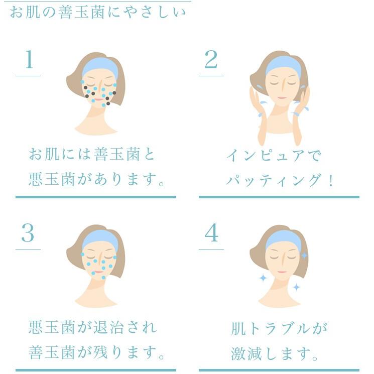 オゾン水 生成 インピュア スターターセット : すこやかECO通信 - 通販
