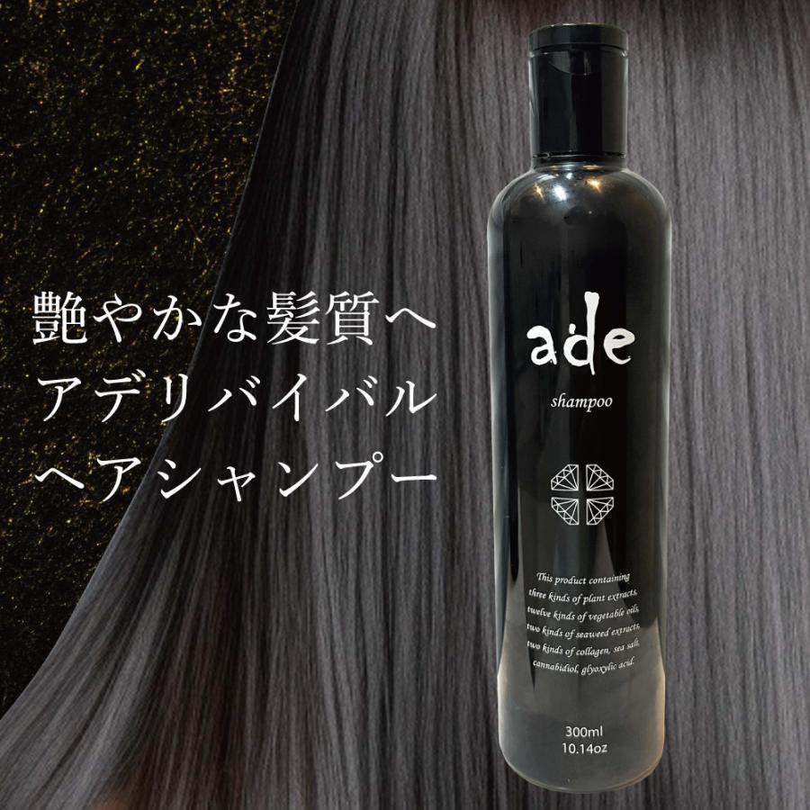 ade シャンプー サロンクオリティ 酸熱トリートメント 補修 ダメージ