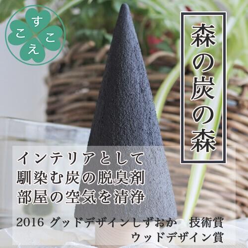 炭 インテリア 脱臭剤 森の炭の森 Sサイズ : すこやかECO通信 - 通販