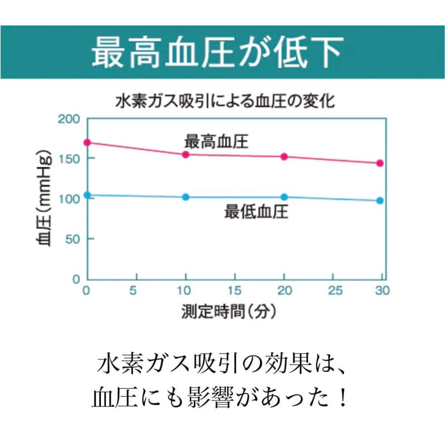 水素吸引器 アリビオ 小型 充電式 携帯 水素ガス生成器 水素吸入器