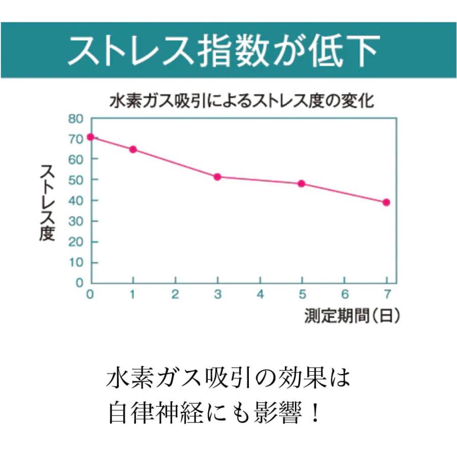 水素吸引器 アリビオ 小型 充電式 携帯 水素ガス生成器 水素吸入器