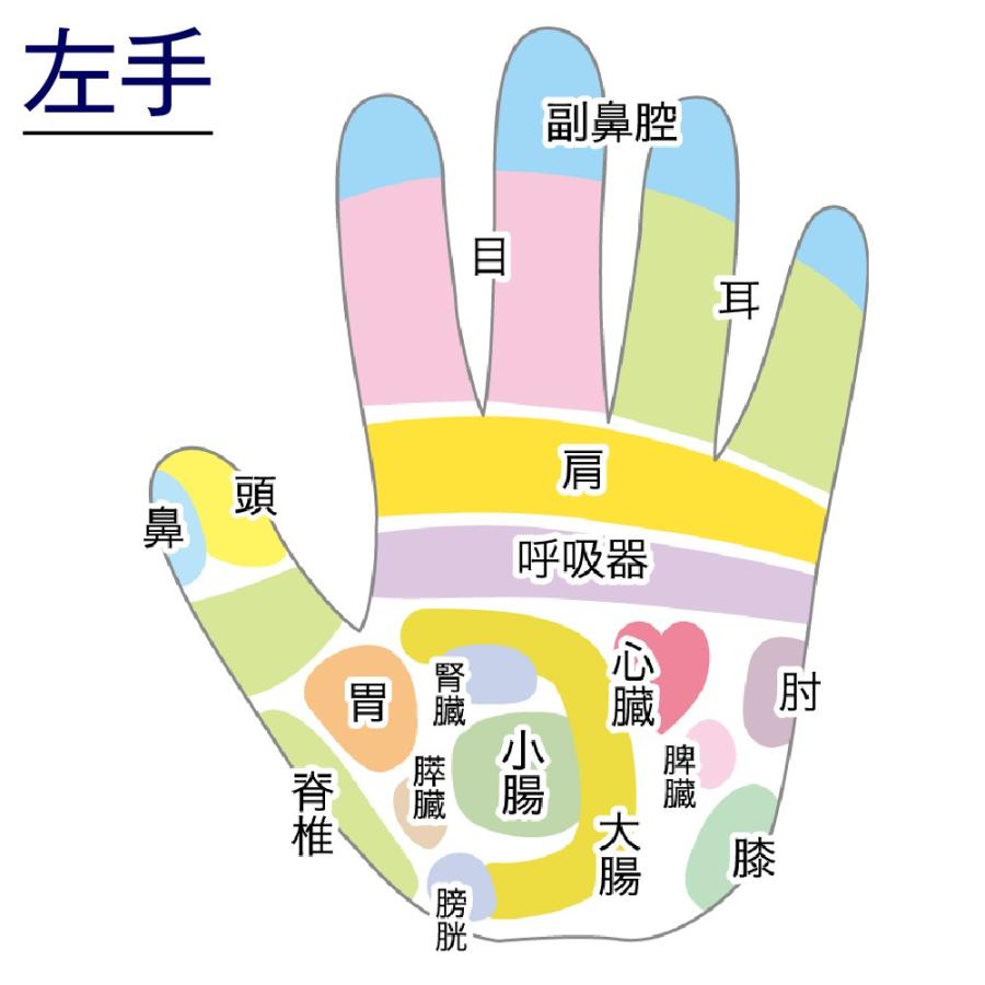 5円玉で見つかる認知症を止めるすごいツボ 介護レクの「困った」から生まれた、女性向けのツボ「三陰交（さん