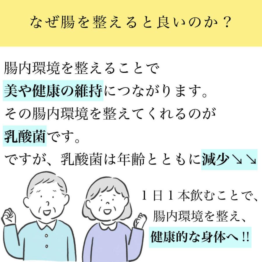 オリゴ糖 乳酸菌 粉末 潤性蘇菌 : すこやかECO通信 - 通販 - Yahoo