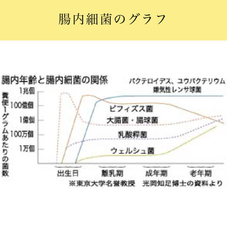 オリゴ糖 乳酸菌 粉末 潤性蘇菌 : すこやかECO通信 - 通販 - Yahoo