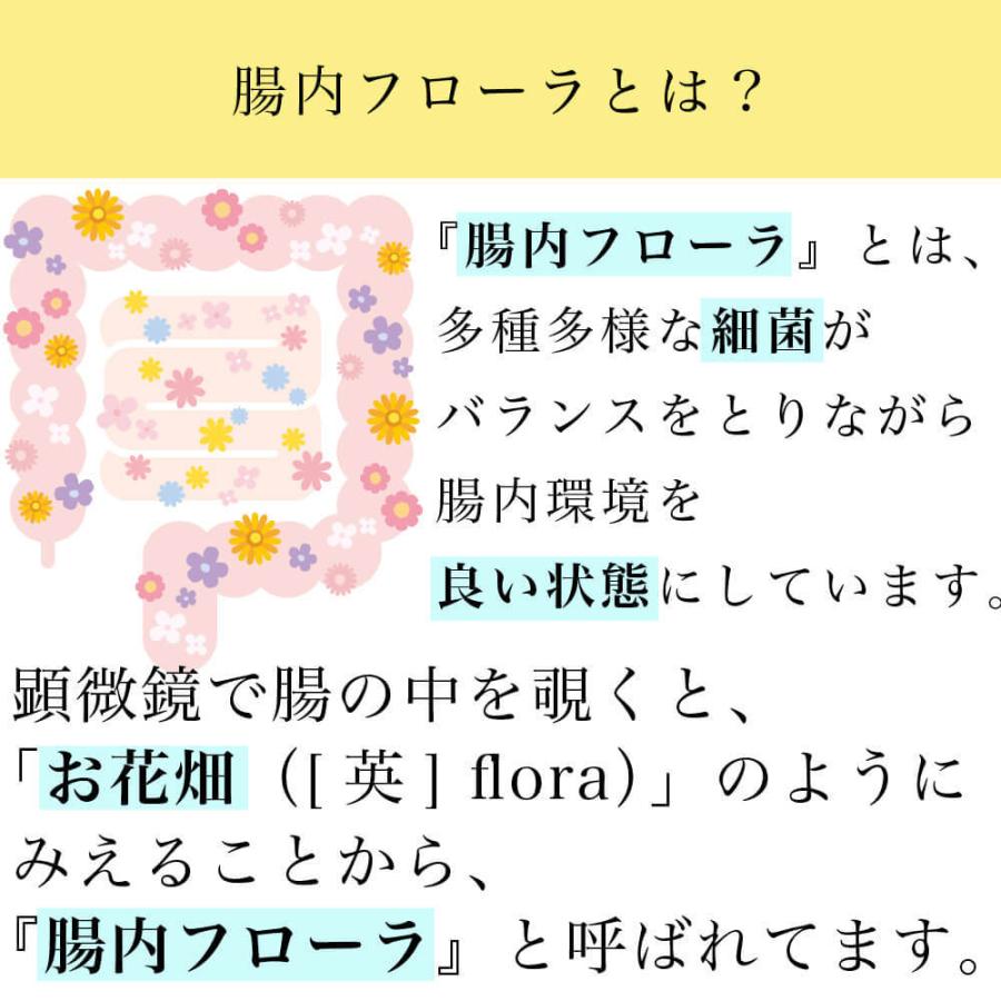 オリゴ糖 乳酸菌 粉末 潤性蘇菌 : すこやかECO通信 - 通販 - Yahoo