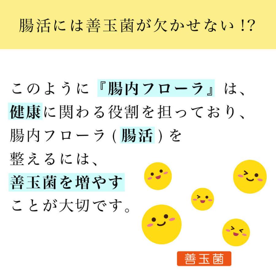 オリゴ糖 乳酸菌 粉末 潤性蘇菌 : すこやかECO通信 - 通販 - Yahoo