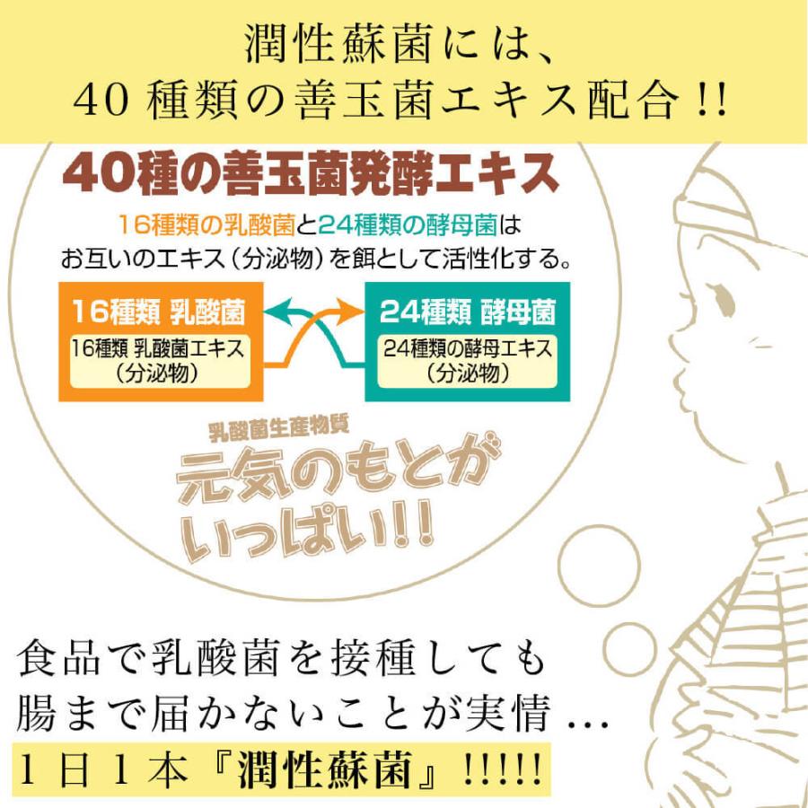 オリゴ糖 乳酸菌 粉末 潤性蘇菌 : すこやかECO通信 - 通販 - Yahoo