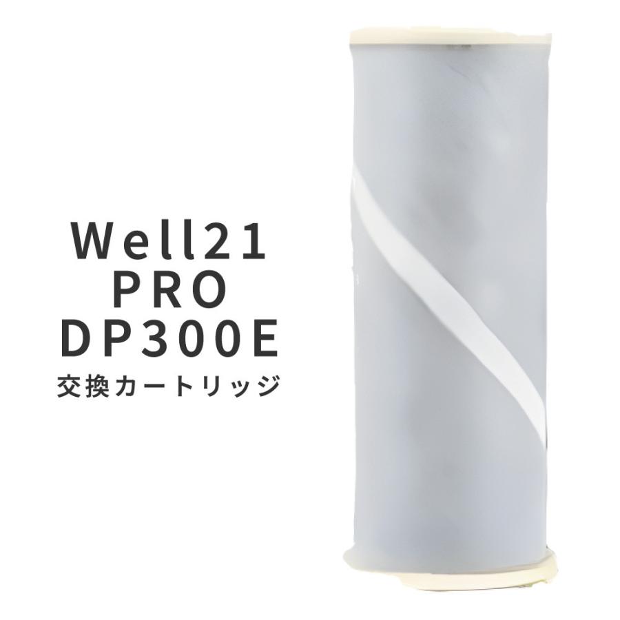 セントラル浄水器 Well21 ウエル21 G400N型用 カートリッジ 楽天市場】【正規販売店】セントラル浄水器 ウェル21 well21浄水