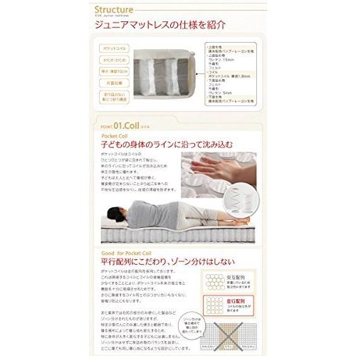 子どもの睡眠環境を考えた 日本製 安眠マットレス 抗菌 薄型 軽量 EVA エヴァ ジュニア 国産ポケットコイル レギュラー シングル