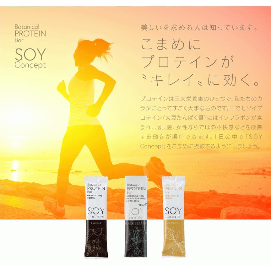 SOY Concept ボタニカルプロテインバー 3種合計36本アソートセットの画像